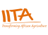 International Institute of Tropical Agriculture (IITA)